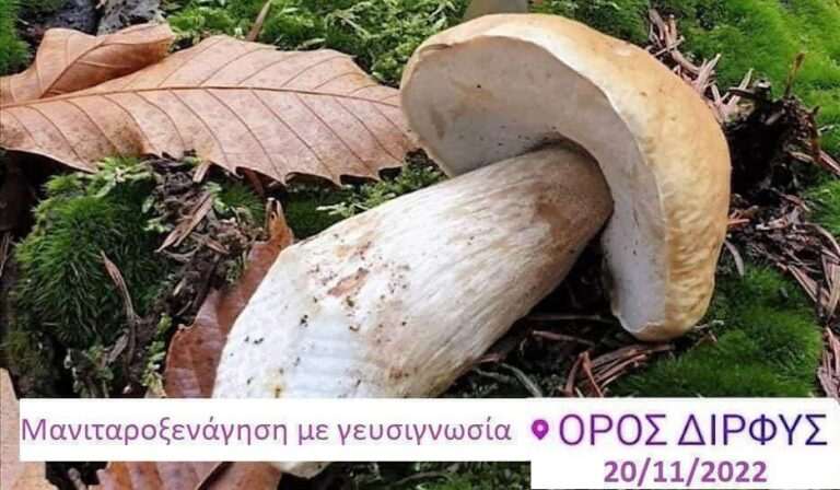 Εκδρομή για ξενάγηση στα Μανιτάρια στο Όρος Δίρφης
